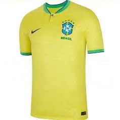 Camiseta do Brasil P M G GG